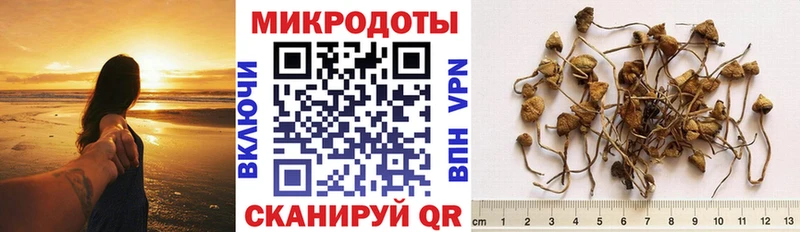 Купить  Сызрань  Галлюциногенные грибы мухоморы 